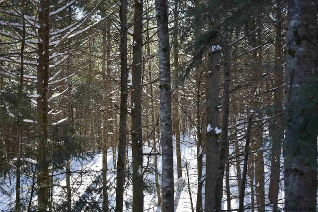 $37,500 | 13 Carriage Knolls Road, Chester, NY 12817