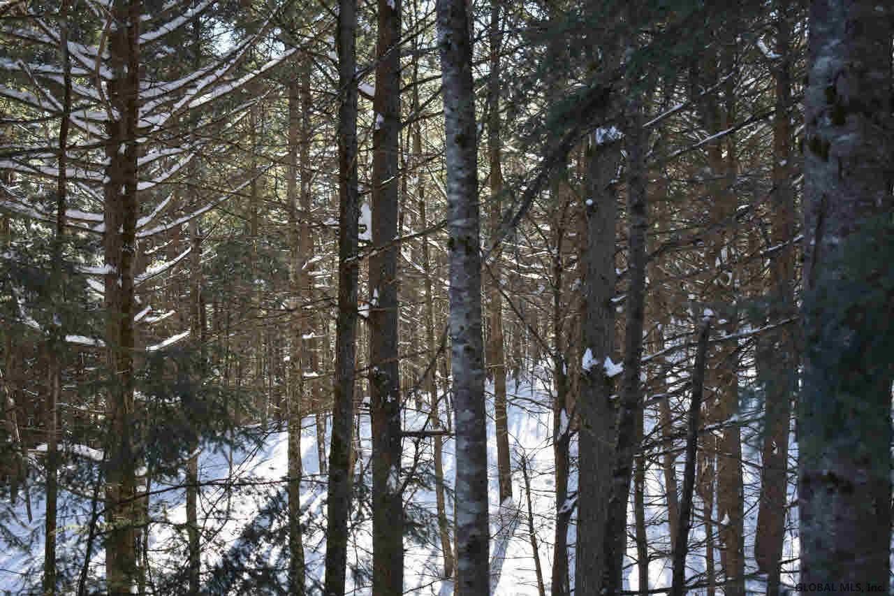 13 Carriage Knolls Road Chester, NY 12817 - Photo 10 of 13 Photo 10