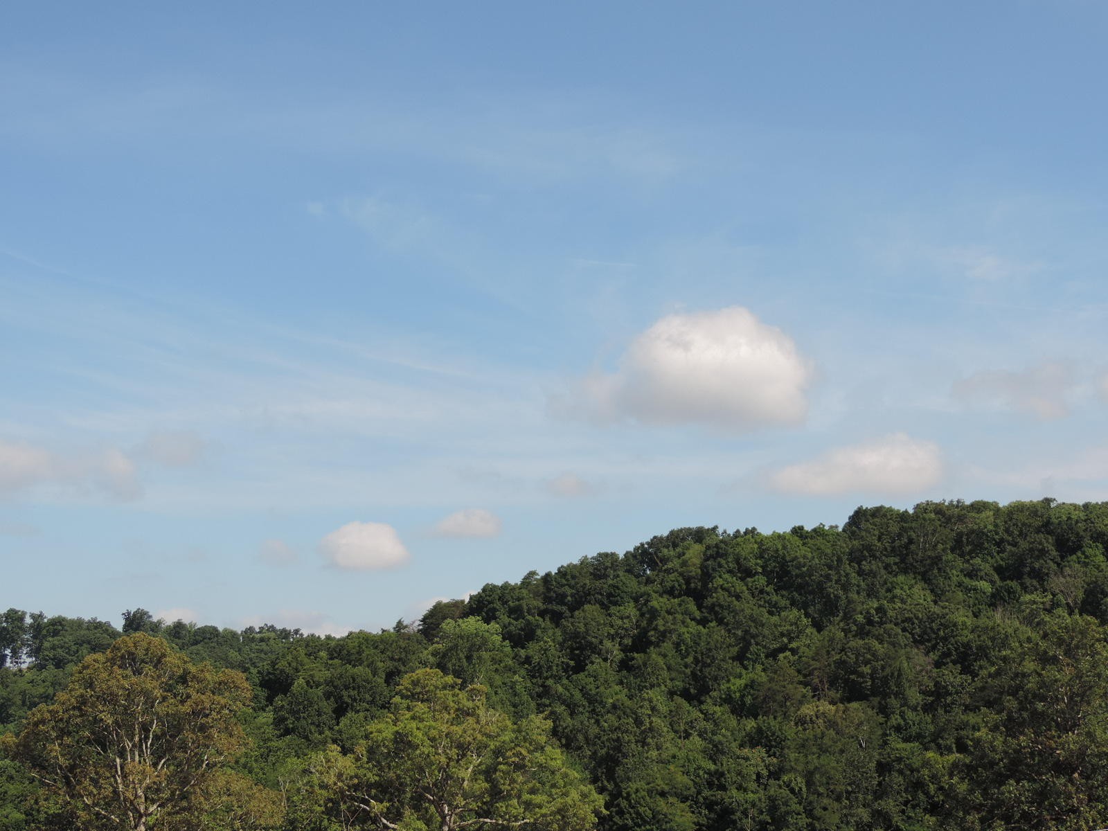 2 Chestnut Grove Road Dandridge, TN 37725 - Photo 2 of 5 Gallery Image 2