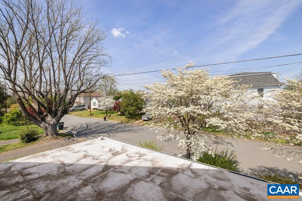1201 Avon Street Charlottesville, VA 22902 - Photo 47 of 71 a view of a yard with a tree