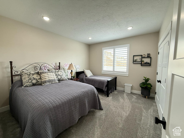 1240 West 2360 North Helper, UT 84526 - Photo 56 of 79 Carpeted bedroom with baseboards, recessed lighting, and a textured ceiling