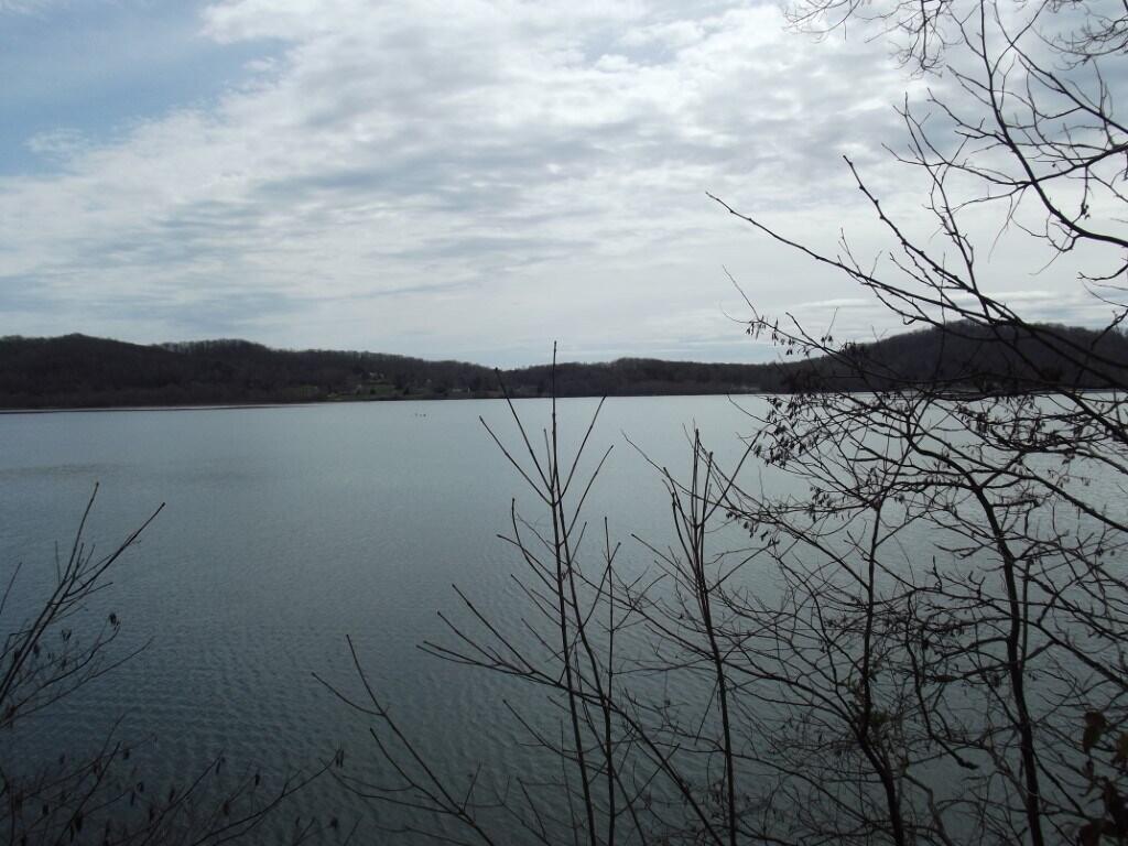 1382 Whites Creek Road, Unit 11 Spring City, TN 37381 - Photo 3 of 40 3