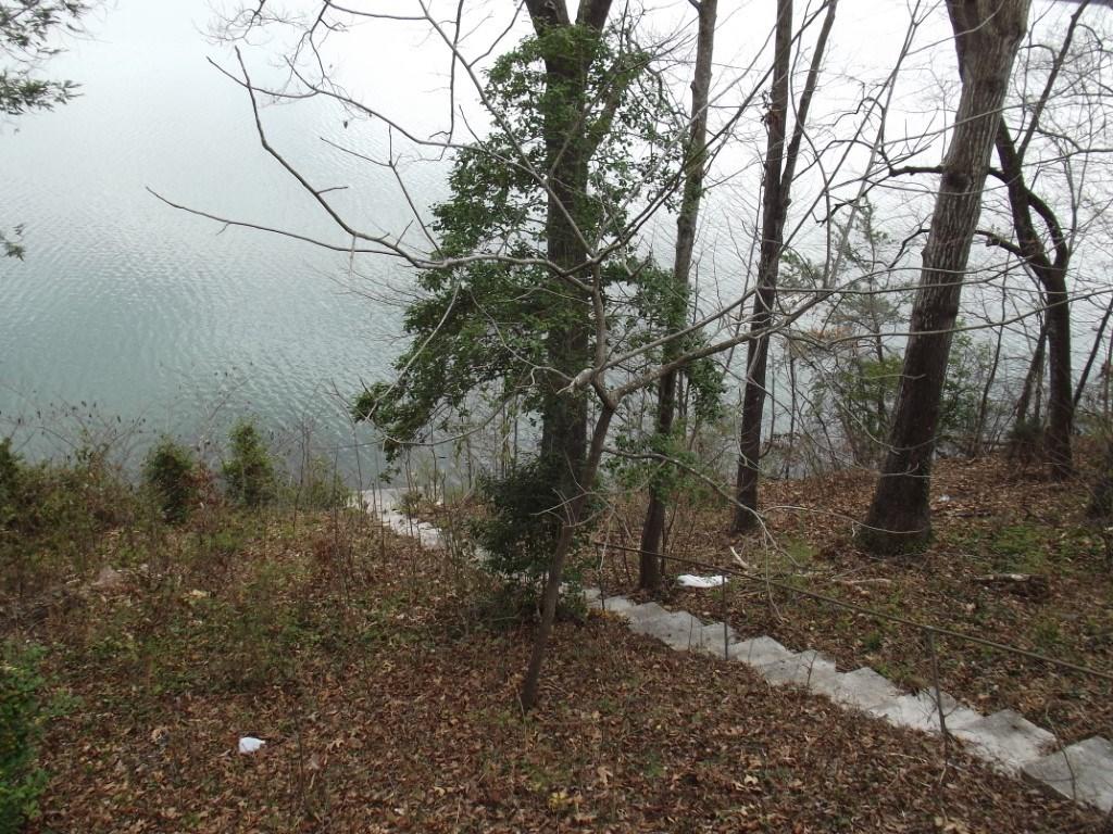 1382 Whites Creek Road, Unit 11 Spring City, TN 37381 - Photo 38 of 40 39