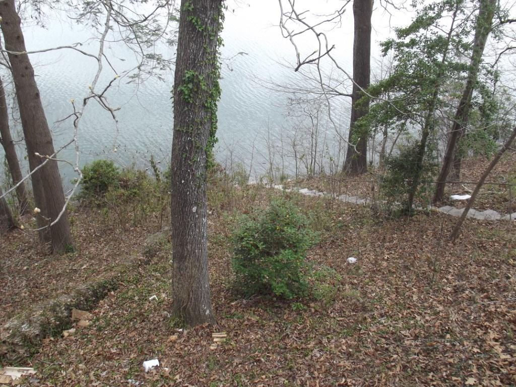 1382 Whites Creek Road, Unit 11 Spring City, TN 37381 - Photo 39 of 40 41