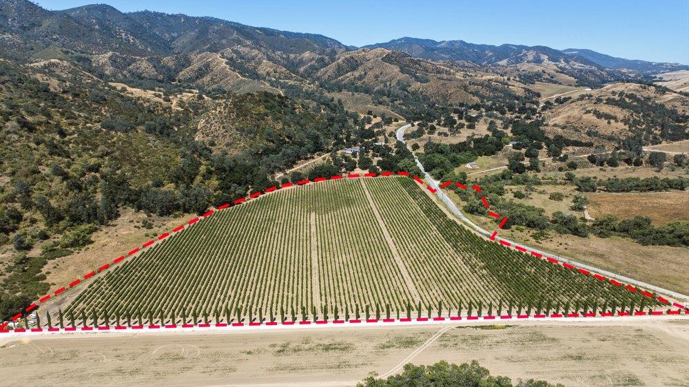 24.5-acres Cienega Road Paicines, CA 95043 - Photo 4 of 38