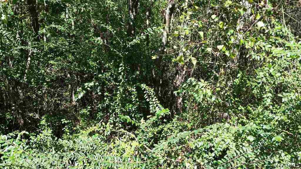 0 Rowland Road Dothan, AL 36301 - Photo 5 of 7 Gallery Image 5