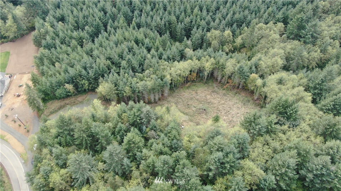 0 Macronovic Road Chehalis, WA 98532 - Photo 1 of 4