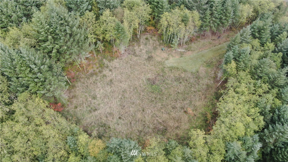 0 Macronovic Road Chehalis, WA 98532 - Photo 3 of 4