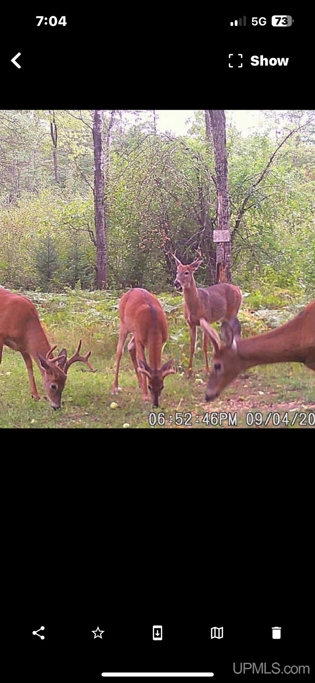 1515 Cr Paa Road Ishpeming, MI 49849 - Photo 58 of 61
