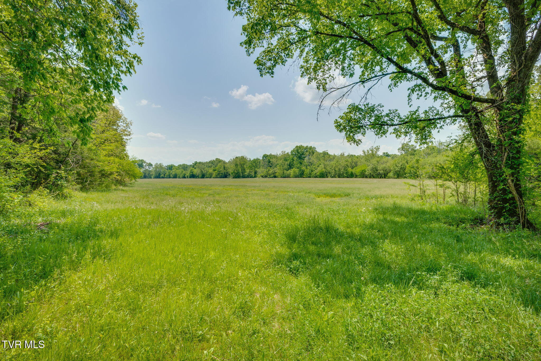 2105 Flea Ridge Road Mohawk, TN 37810 - Photo 33 of 46 022