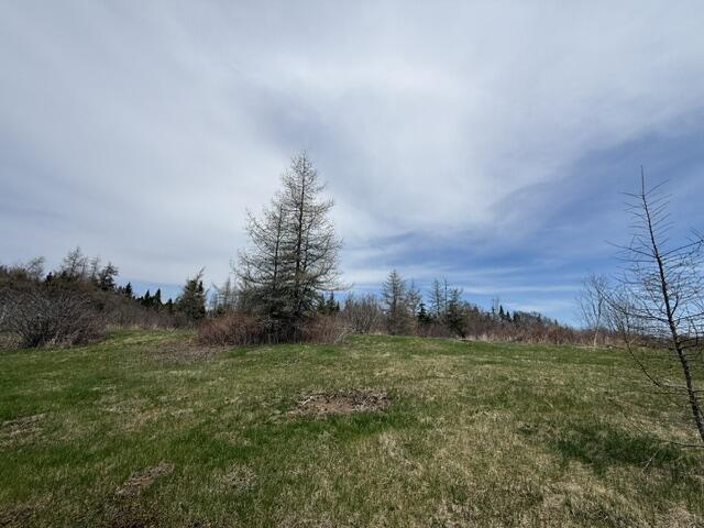 Lot 3 Holmes Bay Farms Road Whiting, ME 04691 - Photo 3 of 14