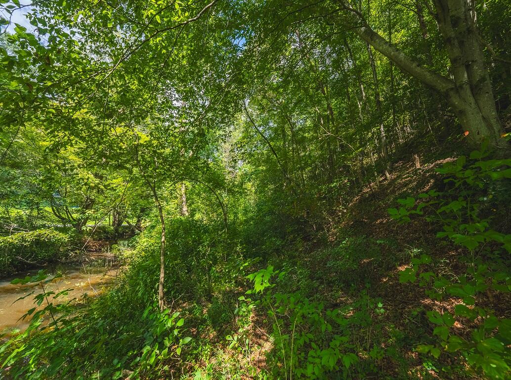 24-acres Coffey Lane Rutledge, TN 37861 - Photo 33 of 35 Drone Photo
