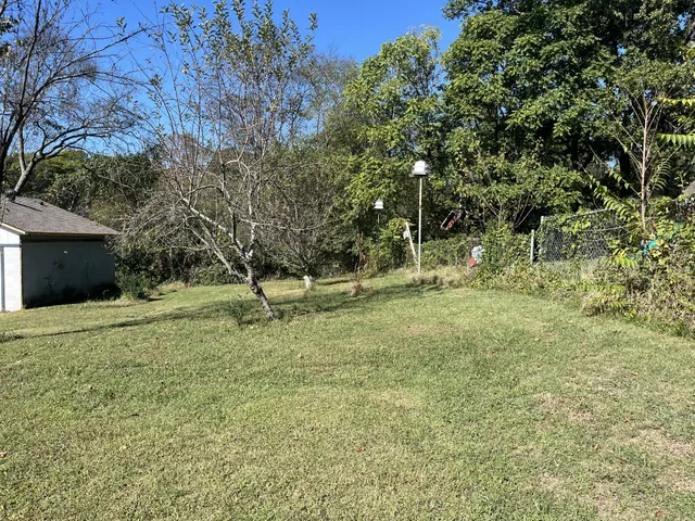 a view of a tree in a yard