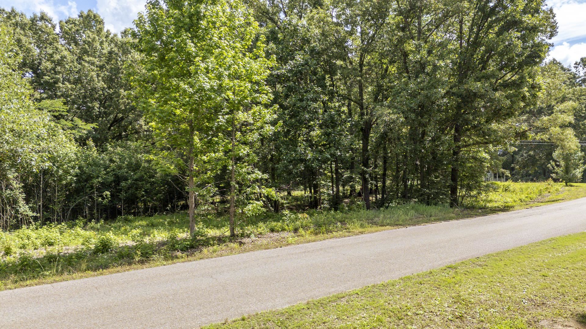 Xxx Oak Grove Road Savannah, TN 38372 - Photo 16 of 29