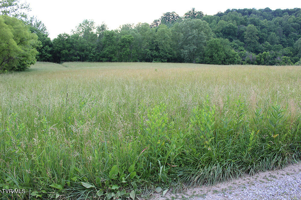 0 Key Hole Road Fort Blackmore, VA 24250 - Photo 5 of 10 IMG_6879