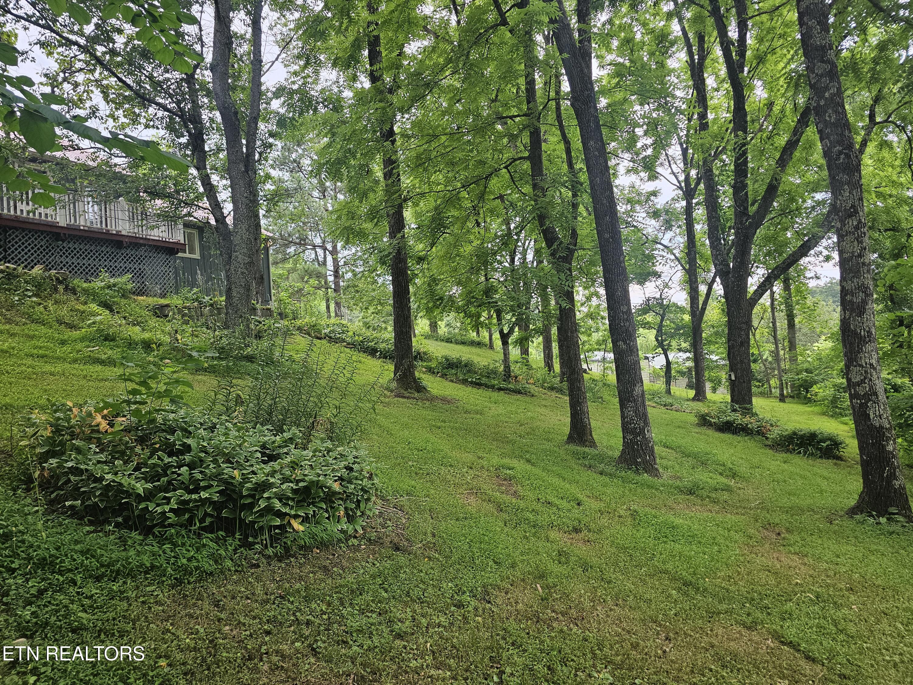 925 Tweed Springs Road Greeneville, TN 37743 - Photo 48 of 53 20260618_175812