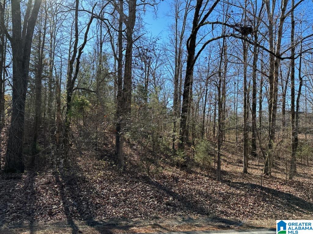 1455 Self Creek Road, Unit 17 000 Morris, AL 35116 - Photo 1 of 2