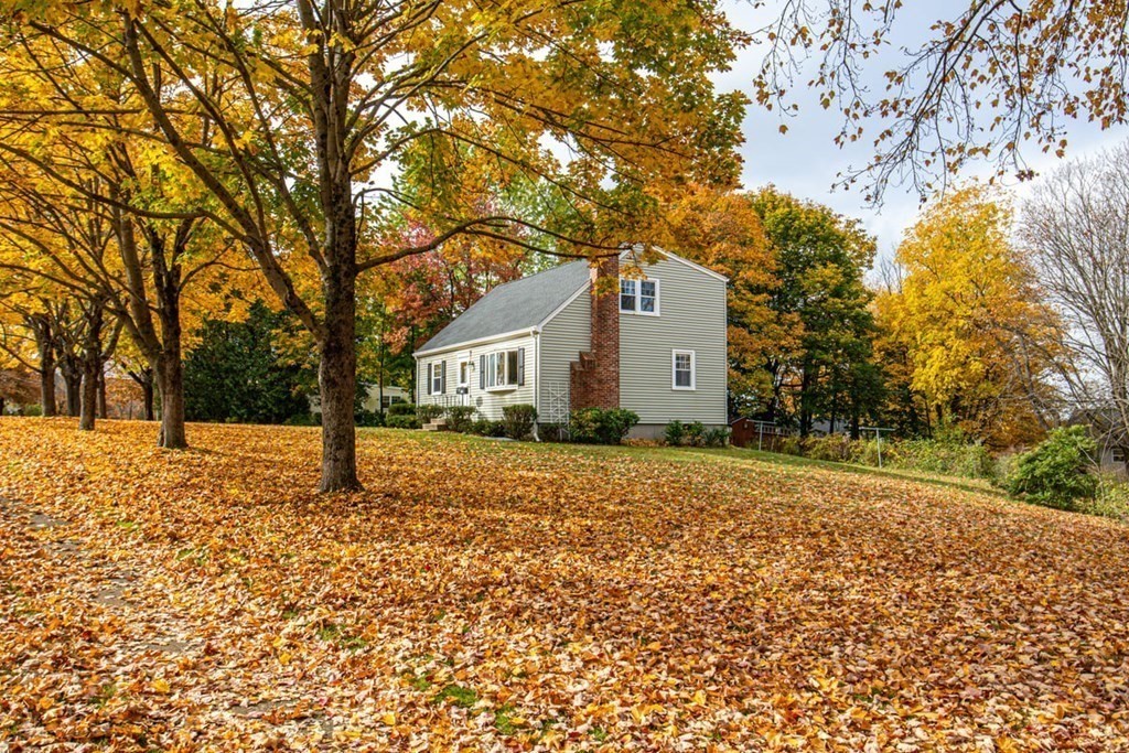29 Irving Drive Walpole, MA 02081 - Photo 25 of 33 a white house that has a tree in front of it