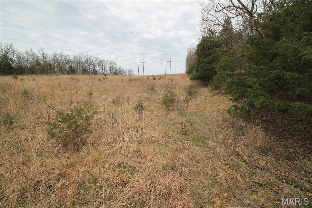 6150 State Rd DD Festus, MO 63028 - Photo 20 of 63