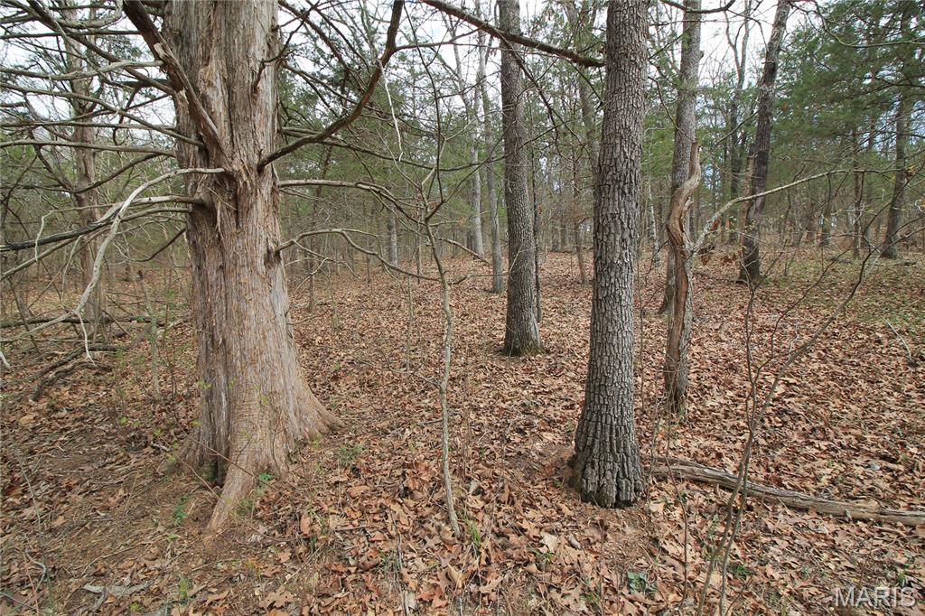 6150 State Rd DD Festus, MO 63028 - Photo 21 of 63