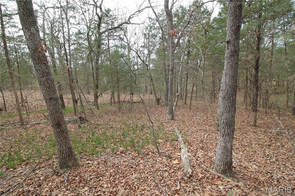 6150 State Rd DD Festus, MO 63028 - Photo 22 of 63