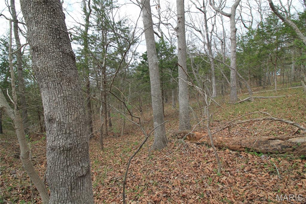 6150 State Rd DD Festus, MO 63028 - Photo 23 of 63