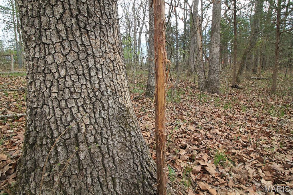 6150 State Rd DD Festus, MO 63028 - Photo 24 of 63