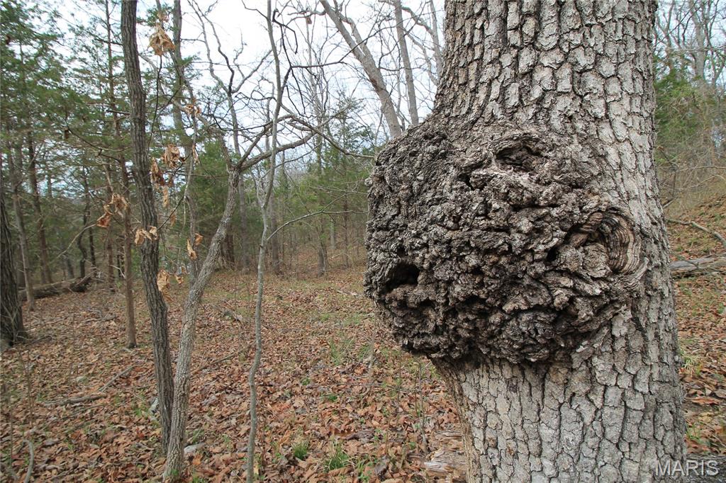 6150 State Rd DD Festus, MO 63028 - Photo 25 of 63