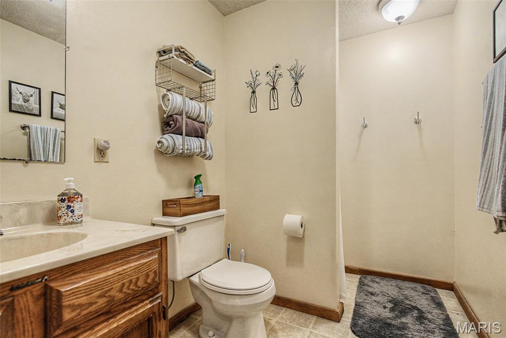 6150 State Rd DD Festus, MO 63028 - Photo 47 of 63