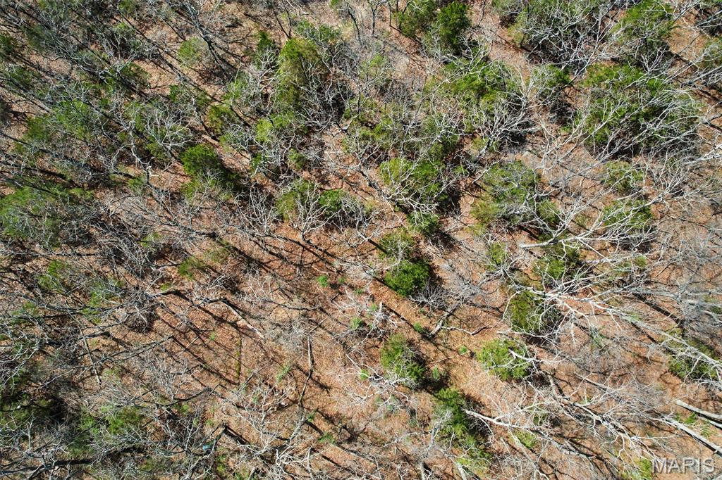 6150 State Rd DD Festus, MO 63028 - Photo 54 of 63