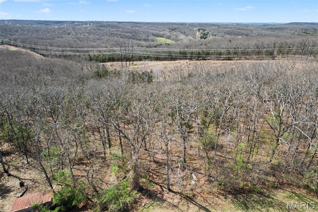 6150 State Rd DD Festus, MO 63028 - Photo 59 of 63