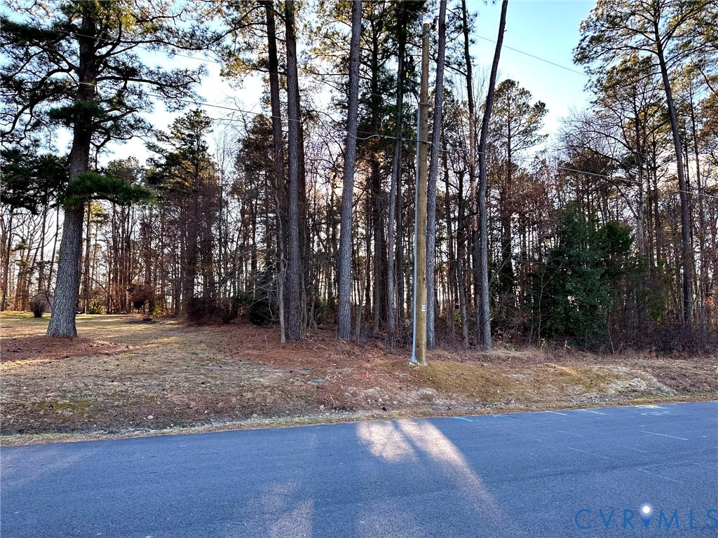 11571 Edinburgh Road Glen Allen, VA 23060 - Photo 2 of 5