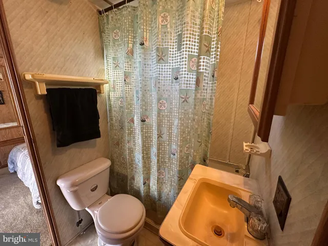a bathroom with a toilet and a shower curtain
