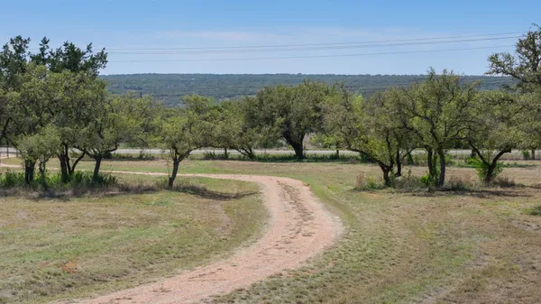 a view of a park with large trees