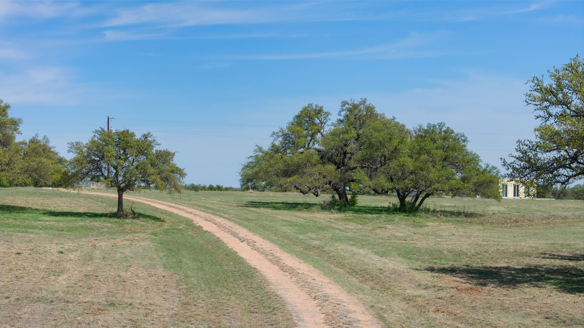 2502 Ranch Road 1323 Johnson City, TX 78636 - Photo 14 of 40 a view of a field with trees