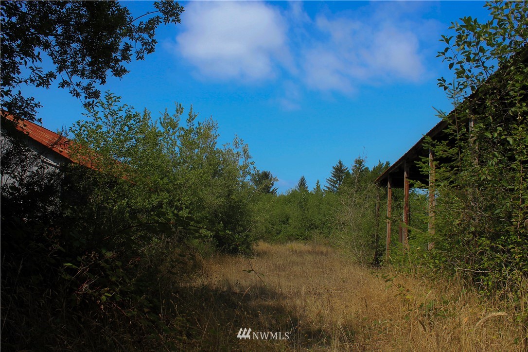2041 Ocean Beach Road Copalis Crossing, WA 98536 - Photo 12 of 40 Gallery Image 12