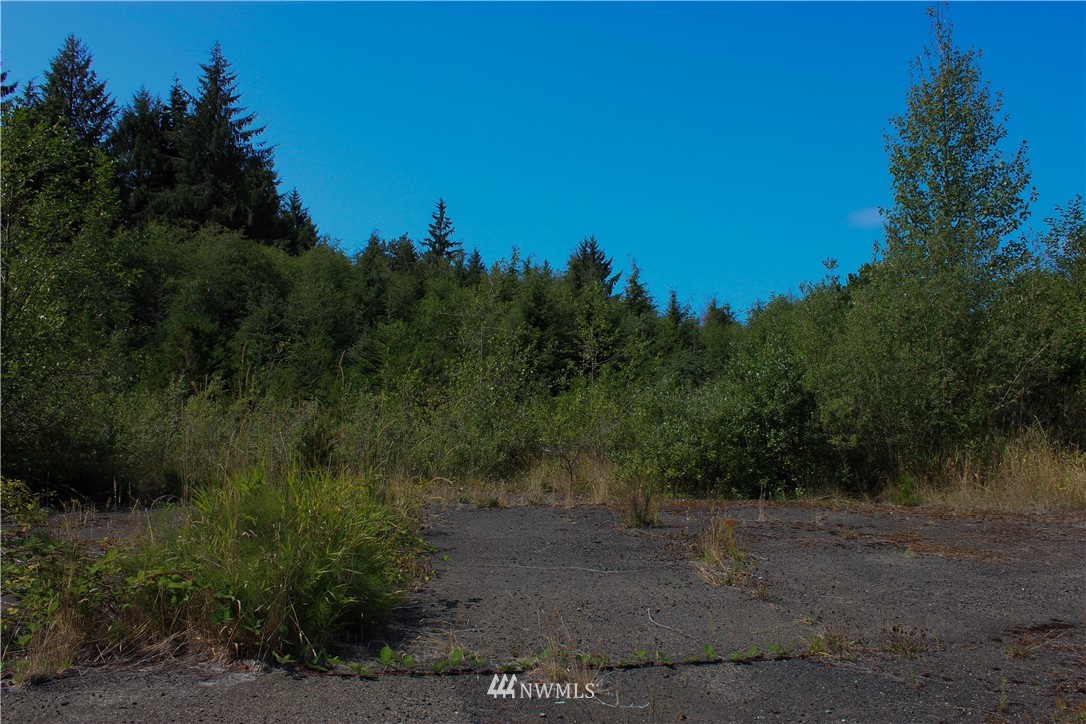 2041 Ocean Beach Road Copalis Crossing, WA 98536 - Photo 23 of 40 Gallery Image 23