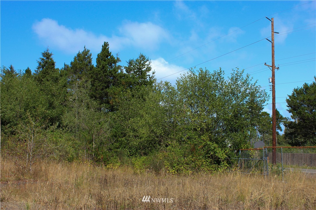 2041 Ocean Beach Road Copalis Crossing, WA 98536 - Photo 26 of 40 Gallery Image 26