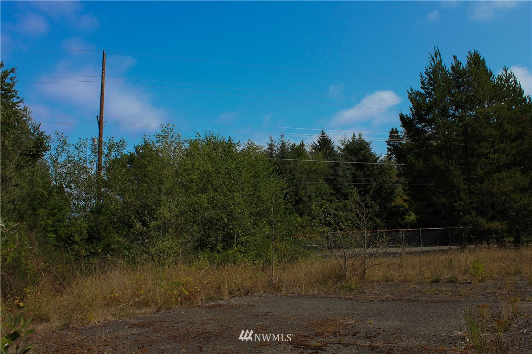 2041 Ocean Beach Road Copalis Crossing, WA 98536 - Photo 27 of 40 Gallery Image 27