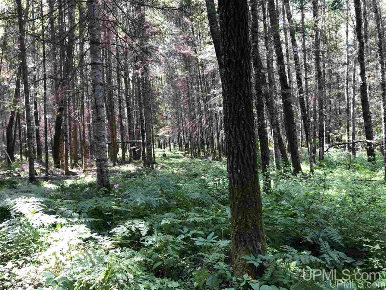 Tbd West Tower Road Ishpeming, MI 49849 - Photo 11 of 44