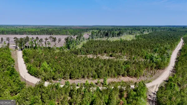 $114,622 | 0 Tillman Cemetery Road, Lumber City, GA 31549
