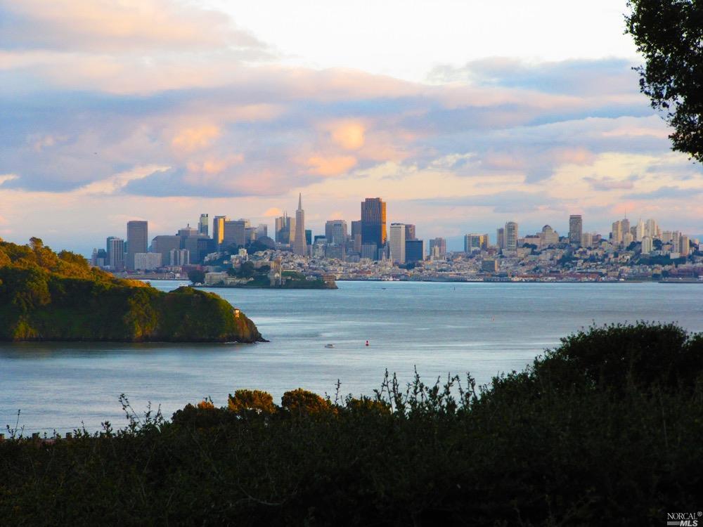 124 Red Hill Circle Tiburon, CA 94920 - Photo 1 of 1 a view of a city