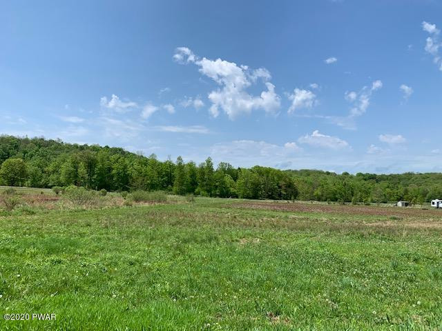 211 Schuman Road Damascus, PA 18415 - Photo 94 of 115 Fields