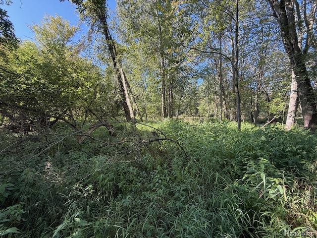 0 Capac Road Yale, MI 48097 - Photo 11 of 36 IMG_5522.jpg