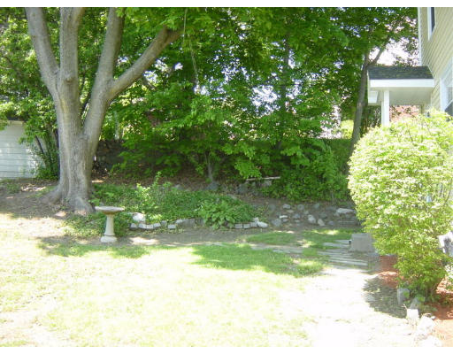 4 Douglas Road Belmont, MA 02478 - Photo 9 of 9 a view of a tree in a yard