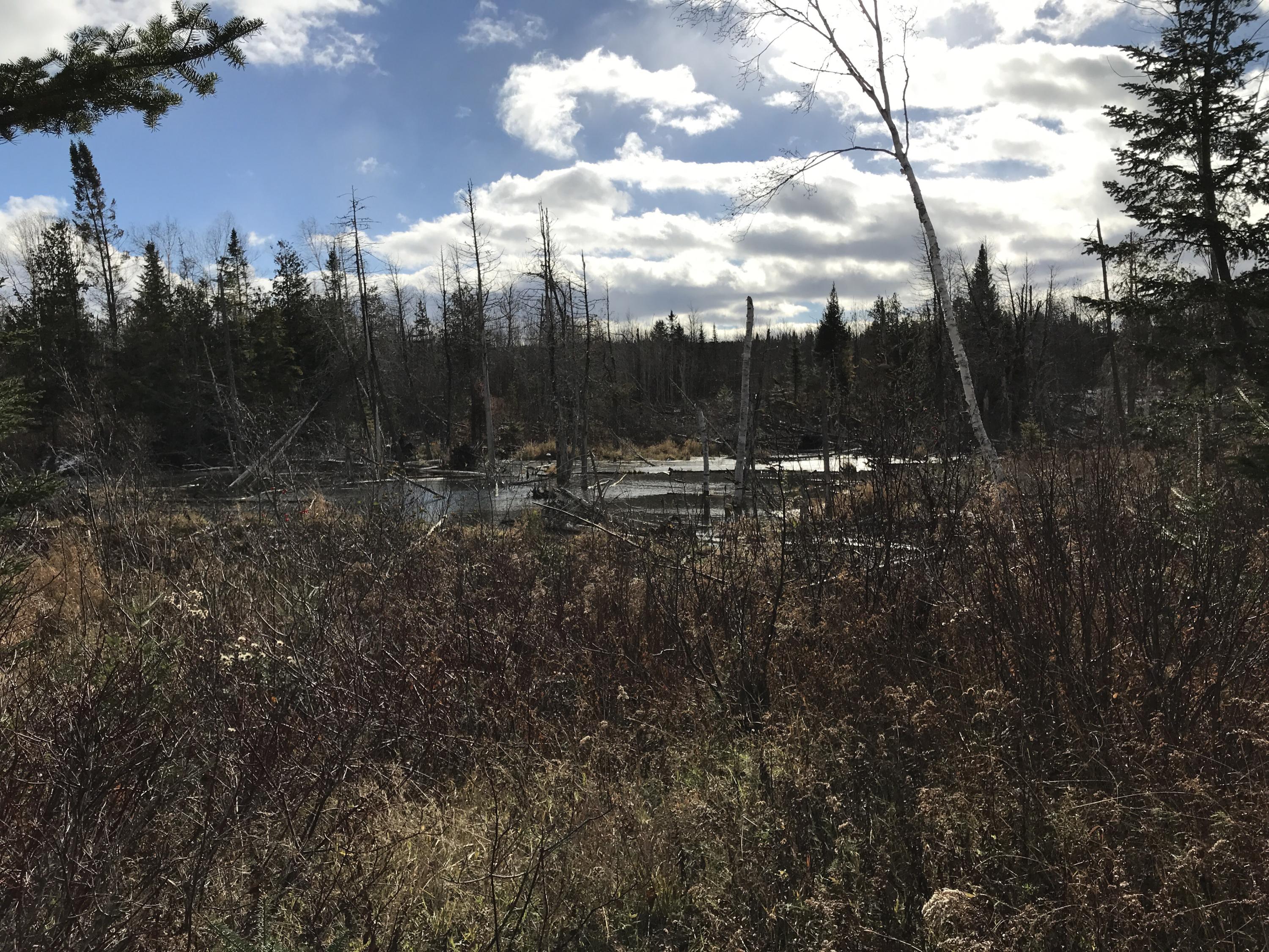 175.4 Townline Road Caribou, ME 04736 - Photo 7 of 8 Photo Oct 26, 1 47 14 PM