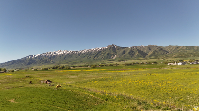 320 South 5400 West Logan, UT 84321 - Photo 13 of 42 Expansive agricultural landscape featuring green fields, yellow flowering crops, and distant snow-capped mountains