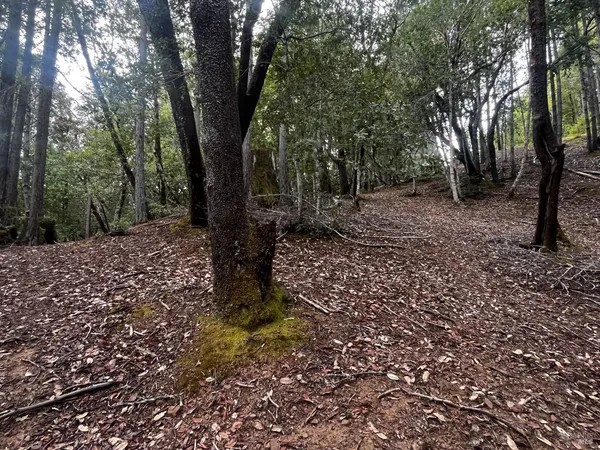 $5,000 | 1921 Clover Drive, Willits, CA 95490