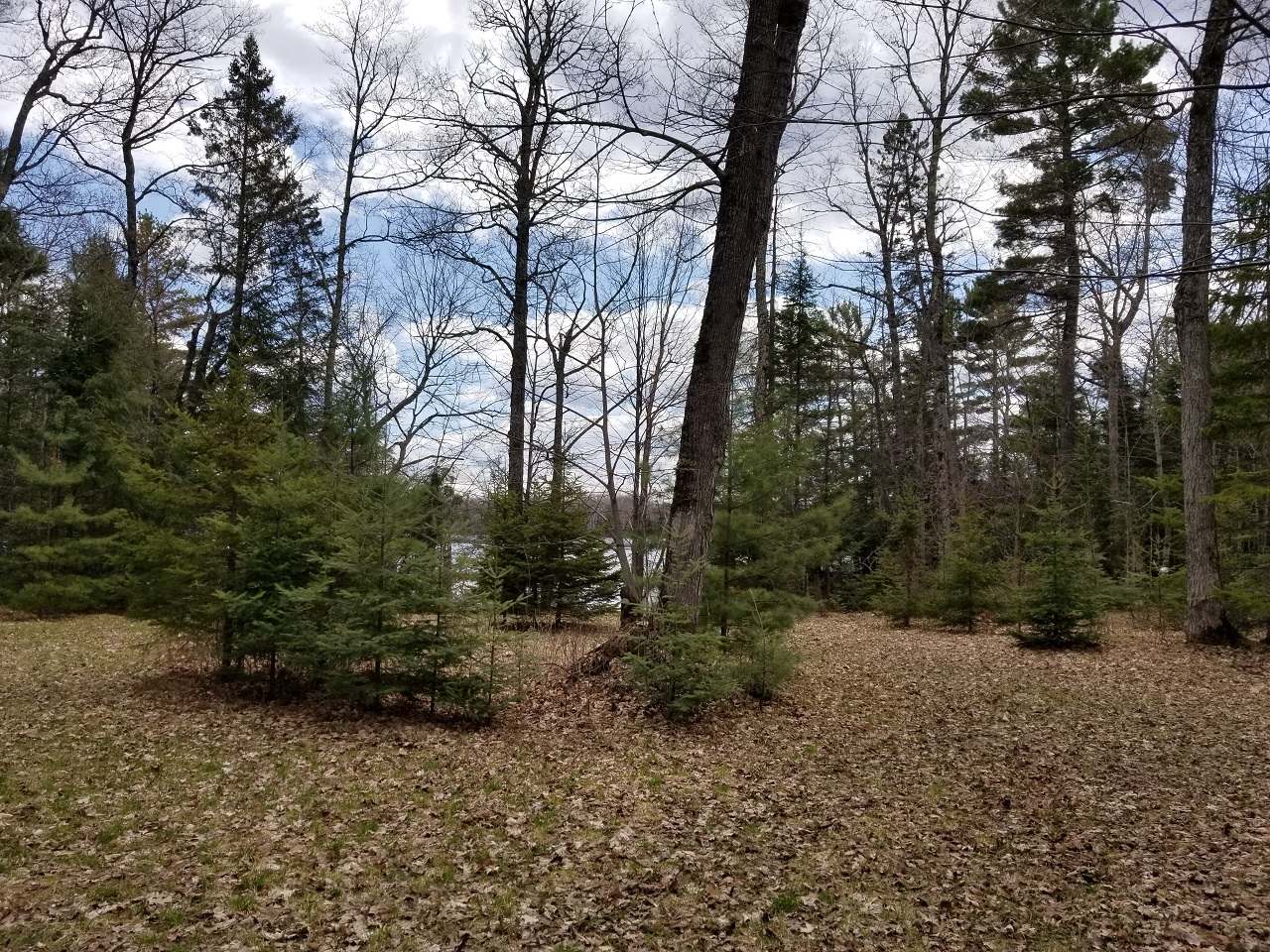 Lot 4 John Dul Road Mercer, WI 54547 - Photo 17 of 30 Gallery Image 17
