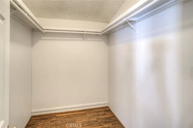 a view of a forest with trees